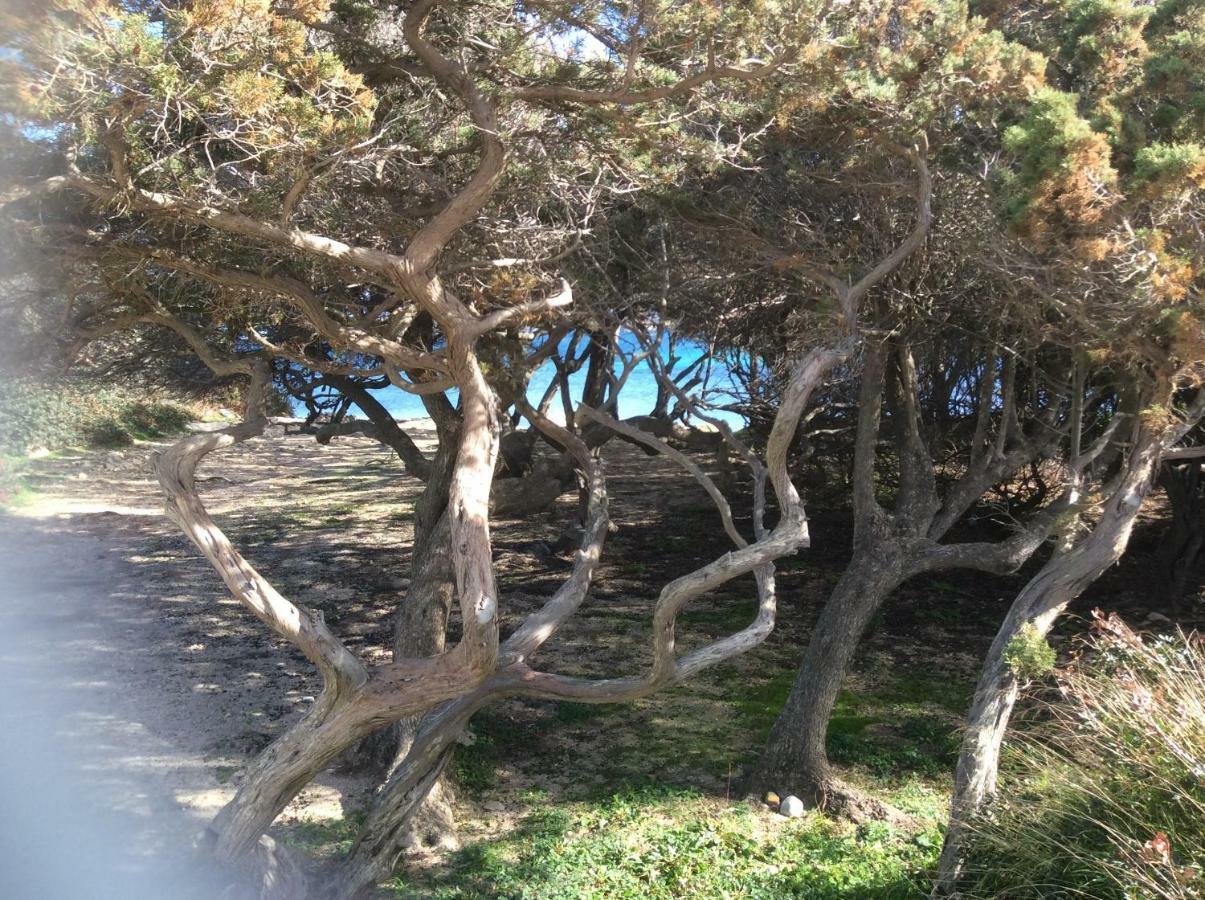Casa Cristina Olbia Costa Smeralda * Murta Maria